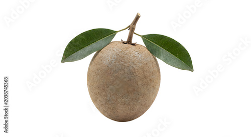 Close-up of a fresh brown fruit with green leaves