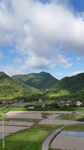 Vertical aerial View of Onion Fields and Rural Farmland in Hagi Yamaguchi Japan, Agricultural Landscape 03