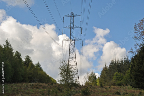 Electricity Pylon in Forest on Sunny Day 