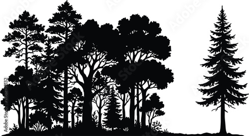 Canvastavla Black silhouette forest scene with clustered broadleaf and conifer trees, shrubs