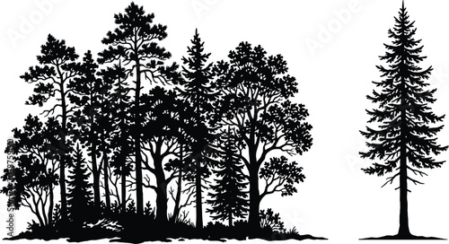 Bild auf Leinwand Black silhouette forest scene with clustered trees and a solitary conifer, symbo