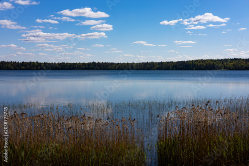 Slika na platnu Lake in the forest
