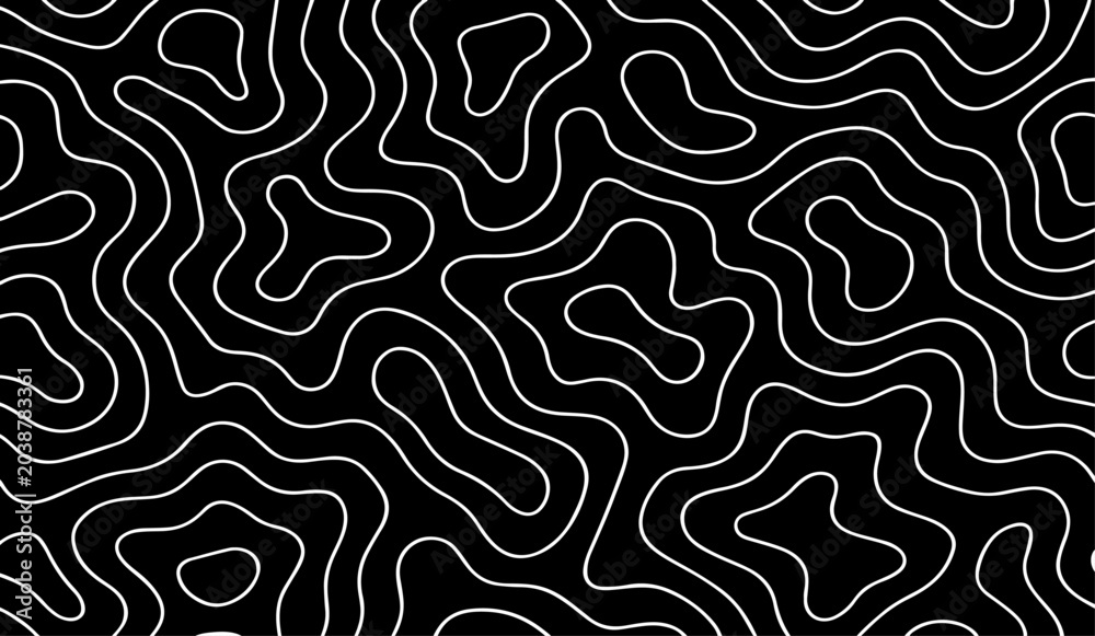 Fototapeta premium Abstract Topographic Contour Lines Vector Illustration Design in Black and White with Flowing Organic Map Pattern for Modern Minimal Background, Geographic Terrain Line Art Texture.
