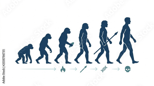 Quadro su tela Human evolution timeline showing progression from ape to modern man