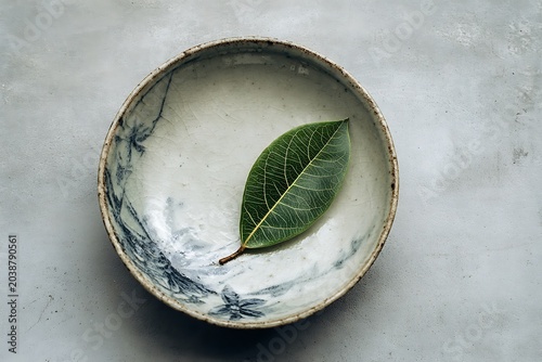 green leaf in a plate
