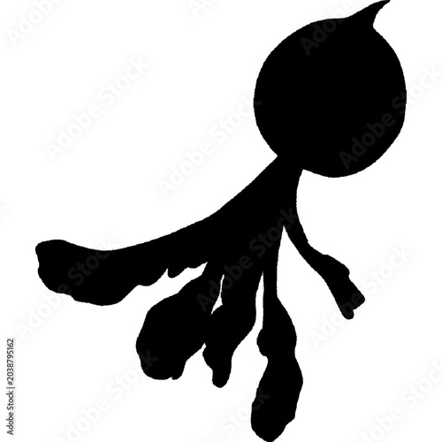 Silhouette of a radish or turnip	
