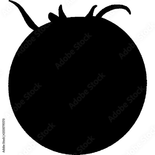 Silhouette of a tomato