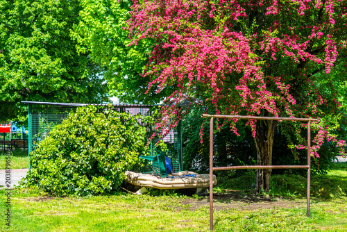 Residential courtyard featuring a metal carpet beating rack, a green ivy-covered trash enclosure and an abandoned old mattress beneath a blooming pink hawthorn tree on a sunny day.