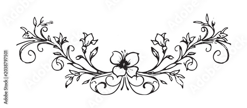 Quadro su tela Calligraphic page dividers