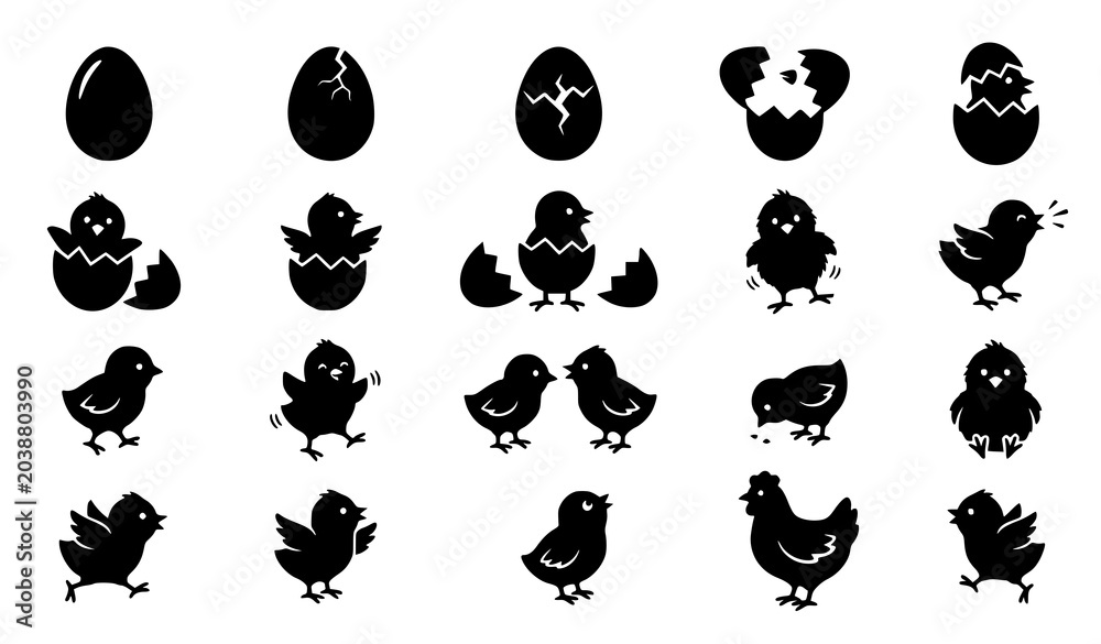 Obraz premium Baby chick hatching from egg silhouette icon vector collection isolated on white background
