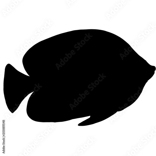 Fish Silhouette 