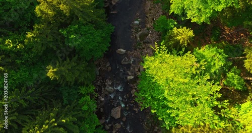 Gentle flyover above a rocky mountain river during spring sunrise with realistic ambient sounds of river and birds. Peaceful flowing water surrounded by green forest landscape with morning light. 