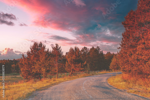 Rural landscape. Winding country road in the evening at sunset light