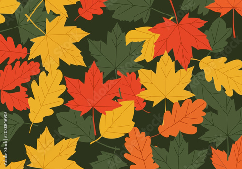 Fotografie Autumn Leaves Pattern Vector Illustration with Colorful Maple and Oak Foliage on