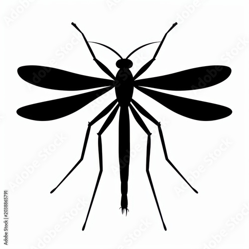 Silhouette of a Detailed Mosquito on a Pure White Background