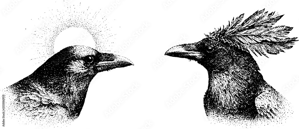 Obraz premium Two raven heads facing each other in minimalist layout