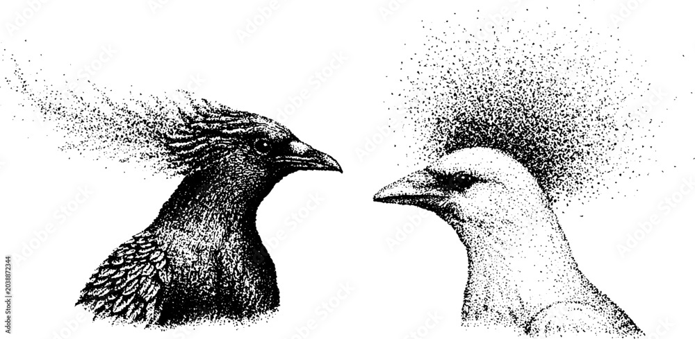 Naklejka premium Two bird heads facing each other on white background