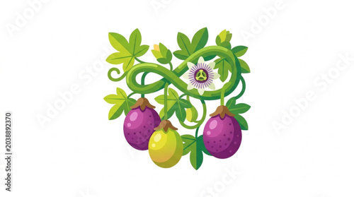 Foto Passion Fruit Vine with Purple Fruits and Yellow Fruit.