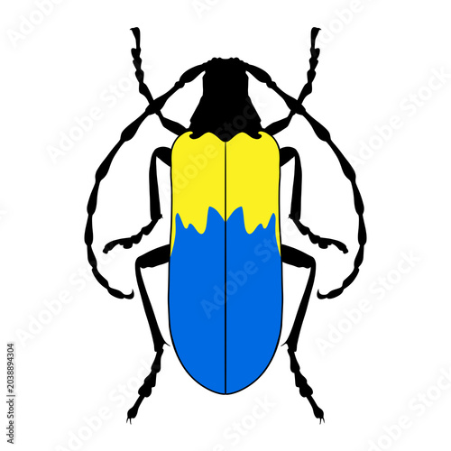 Fotografía Longhorn beetle digital illustration with blue and yellow wings isolated on tran
