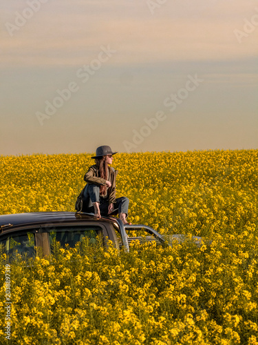 Woman Sitting on Pickup Truck Roof Looking Across Blooming Rapeseed Field