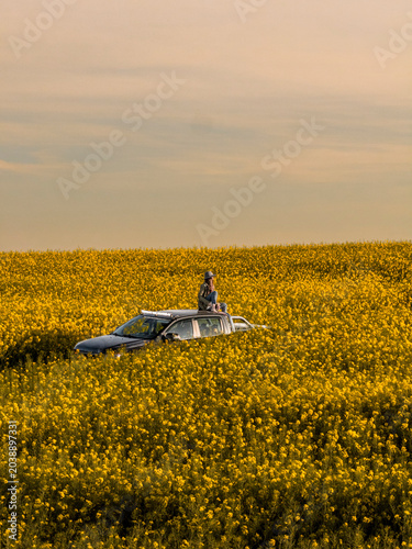 Woman Sitting on Pickup Truck Roof Surrounded by Blooming Rapeseed Field