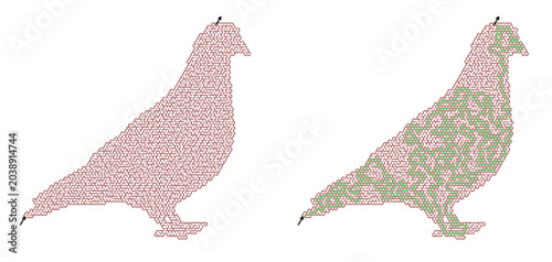 Maze puzzle in the shape of a pigeon with solved path and answer key, city bird labyrinth challenge for children and adults on transparent background