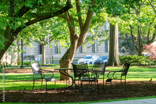 Fotografie Peaceful outdoor seating area with a classic metal table and chairs beneath shady trees in a vibrant green park, sunlight filtering through leaves, offering a tranquil spot by a stately building and