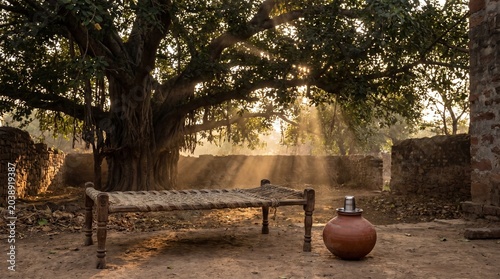 bench in the park