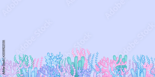 Seamless border with hand-drawn colorful algae and corals. Children's vector illustration for the design of posters, postcards, banners