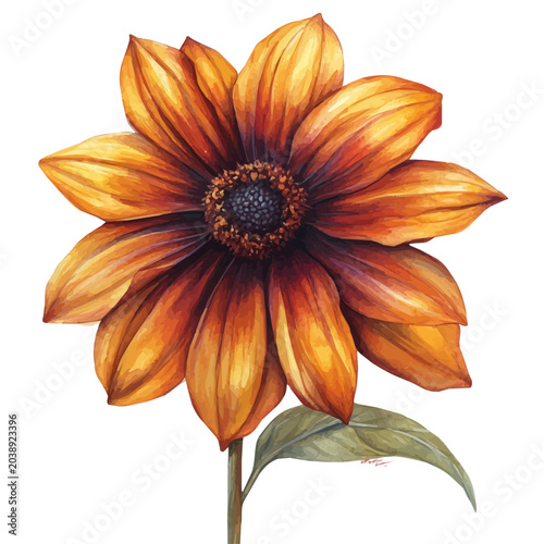 Foto Rudbeckia Flower, whimsical watercolor vector illustration with vibrant highlights and delicate strokes, isolated on a white background