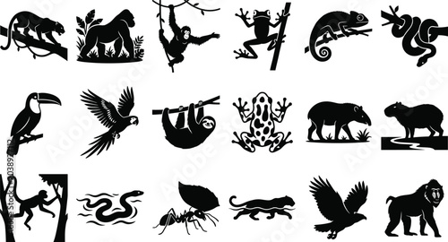 Photography Rainforest Animal Silhouette Icons of Jaguar Gorilla Monkey Birds Reptiles Amphi