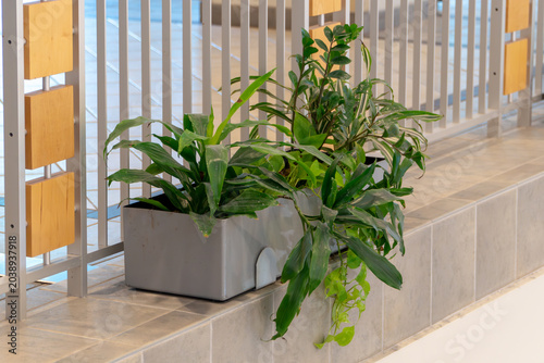 Fotografie Lush green indoor potted plants in a rectangular gray planter box sitting on a tiled ledge beside a modern metal railing with decorative wood panels in a bright contemporary atrium building interior