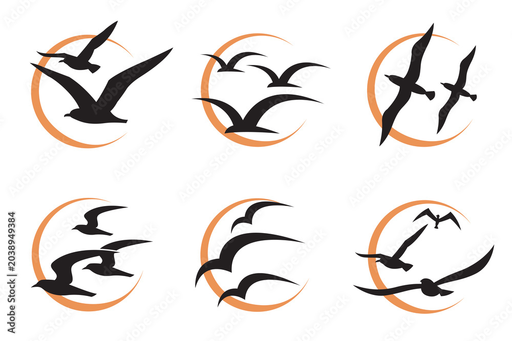 Fototapeta premium collection of icons with flying seagulls silhouettes and sun isolated on white background