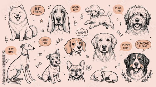 Vászonkép Various dog breeds sketched with playful text bubbles on a pink background