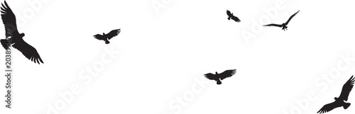 Foto A group of dark silhouettes of birds of prey are captured in mid-flight against a stark white background