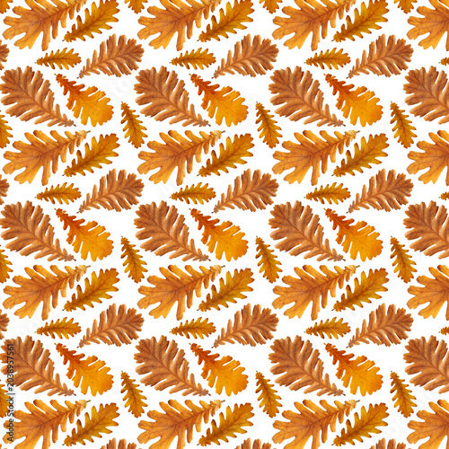 Oak leaves pattern with autumn fall theme for seasonal backgrounds and design