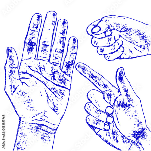 Human Hand Gestures Line Art Vector Set with Blue Sketch Outline Style
