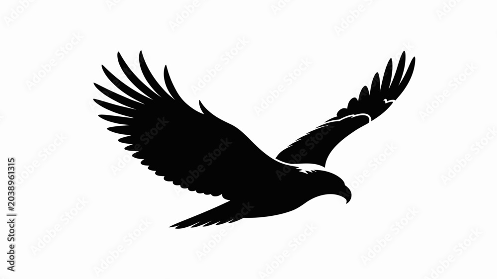 Obraz premium Black silhouette eagle bird flying with spread wings