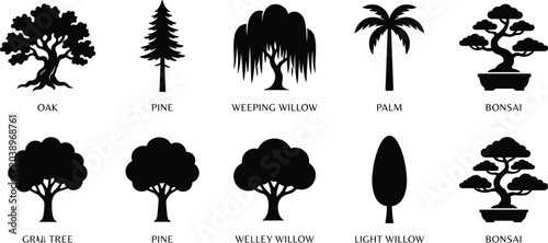Tableau sur toile Vector silhouette collection of various trees including oak pine weeping willow palm and bonsai icons isolated on white background for landscape and architectural design