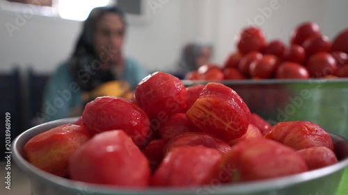 Hand Placing Peeled Tomato into Basin with Other Peeled Tomatoes in Paste Production