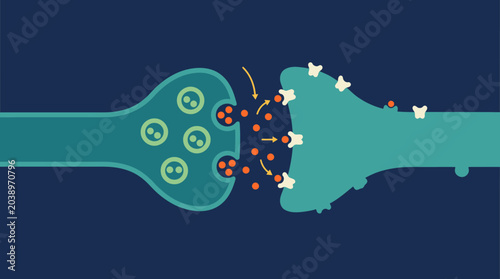 Illustration of Neural Synapse Connection Between Neurons.