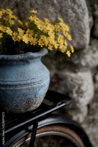 A black bicycle leans against an old gray stone wall. The front basket overflows with vibrant yellow flowers, while blue potted sunflowers rest on the back, creating a charming rustic scene.