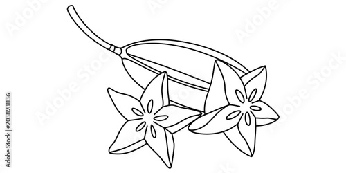 Konstfotografi Black and white line art drawing of star fruit
