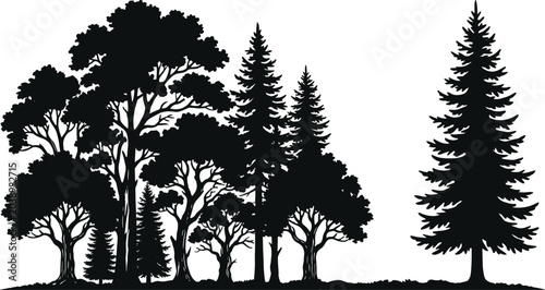Foto Black silhouette forest scene with clustered broadleaf and conifer trees and a s