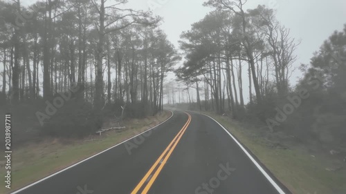 View from a vehicle traveling along an empty road at Assateague Island, Maryland, surrounded by dense fog and expansive wetlands on both sides, creating a quiet and atmospheric coastal landscape