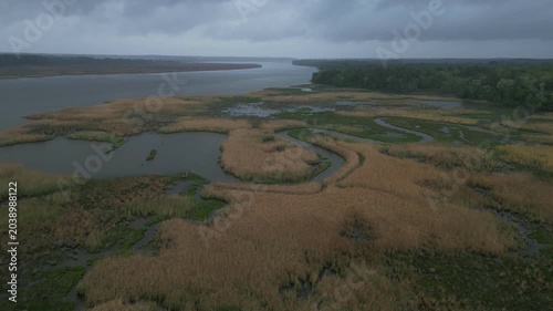 Drone view over coastal wetlands on the Delmarva Peninsula, featuring expansive golden reeds interspersed with patches of green vegetation
