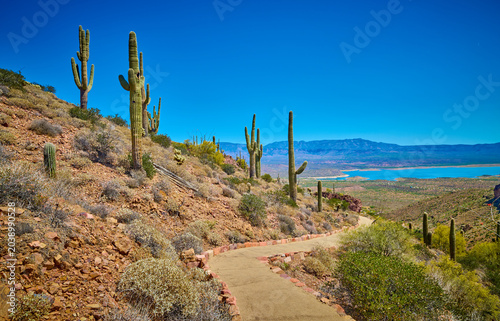 Foto Hiking trail with saguaro cactus at Tonto National Monument Arizona