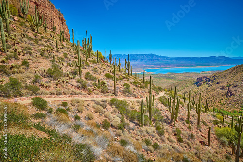 Photos Hiking trail with views of Roosevelt Lake at Tonto National Monument Arizona