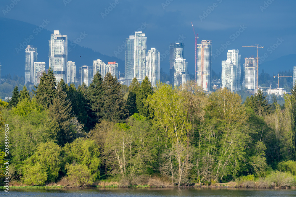 Obraz premium City Skyline Across Lake and Urban Forest