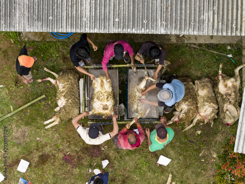 Aerial view of men processing sacrificial animals for Eid al-Adha in Garung on the grass near a building in Kecamatan Kalikajar, Jawa Tengah, Indonesia.